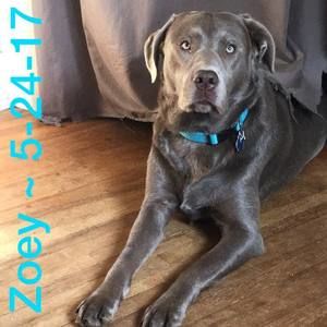 Meet your Posher, Jeffrey